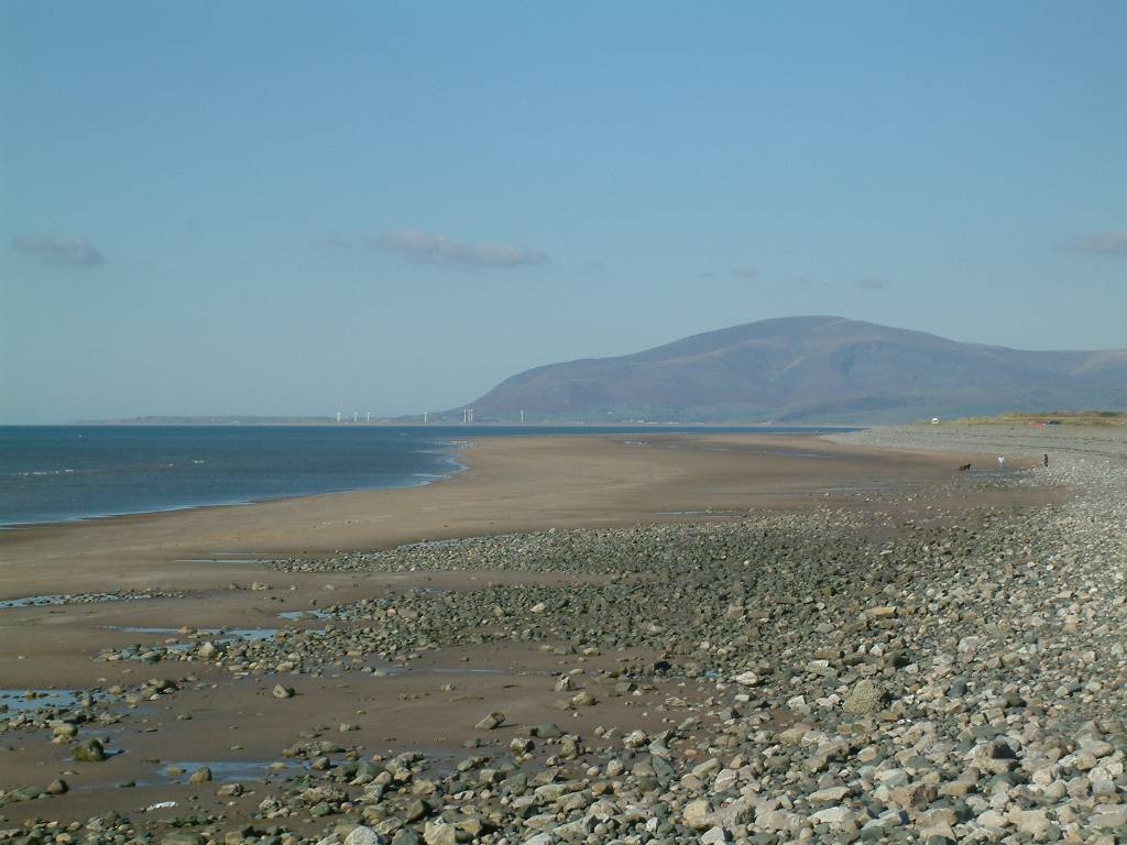 Click now to see this image full size.