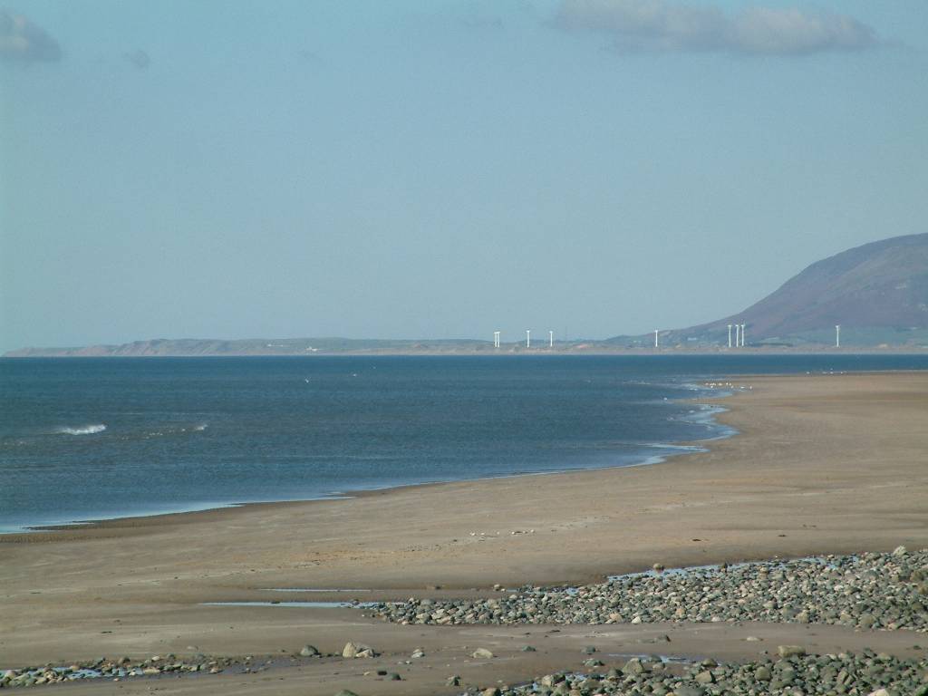 Click now to see this image full size.