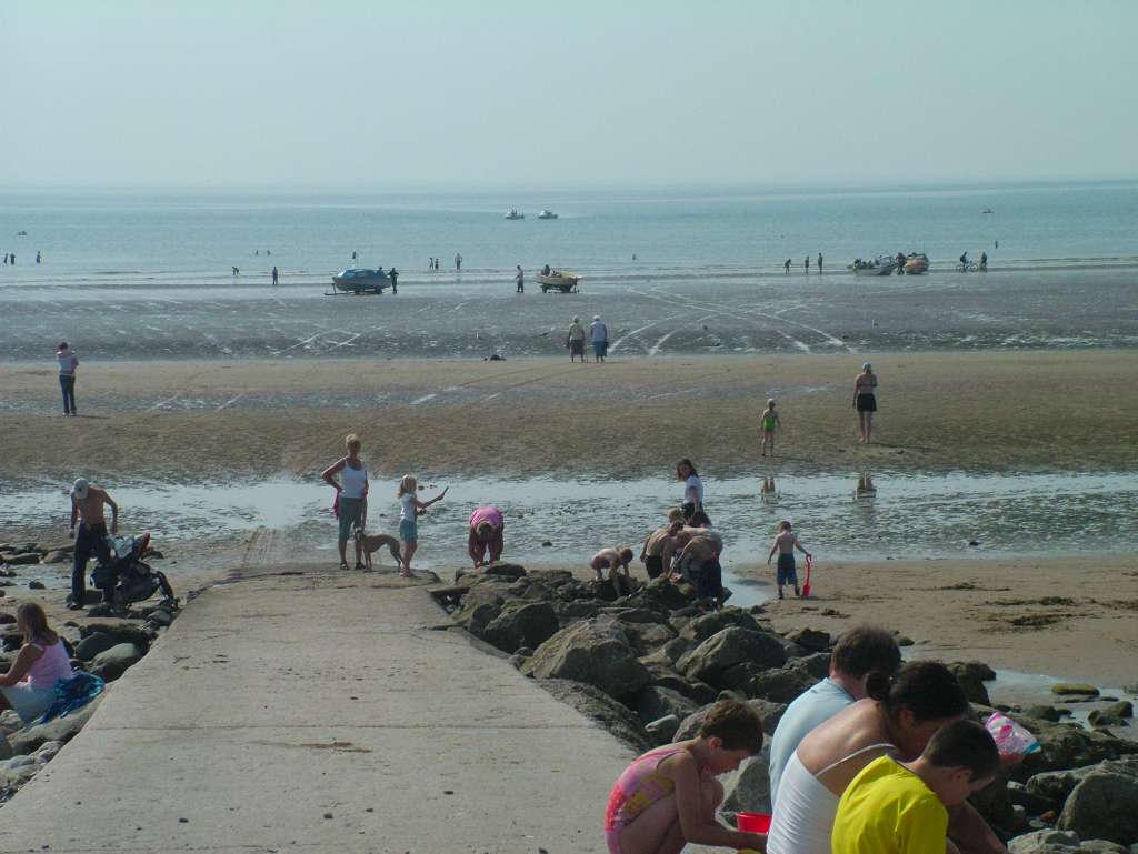 Click now to see this image full size.