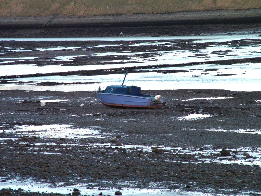 Click now to see this image full size.