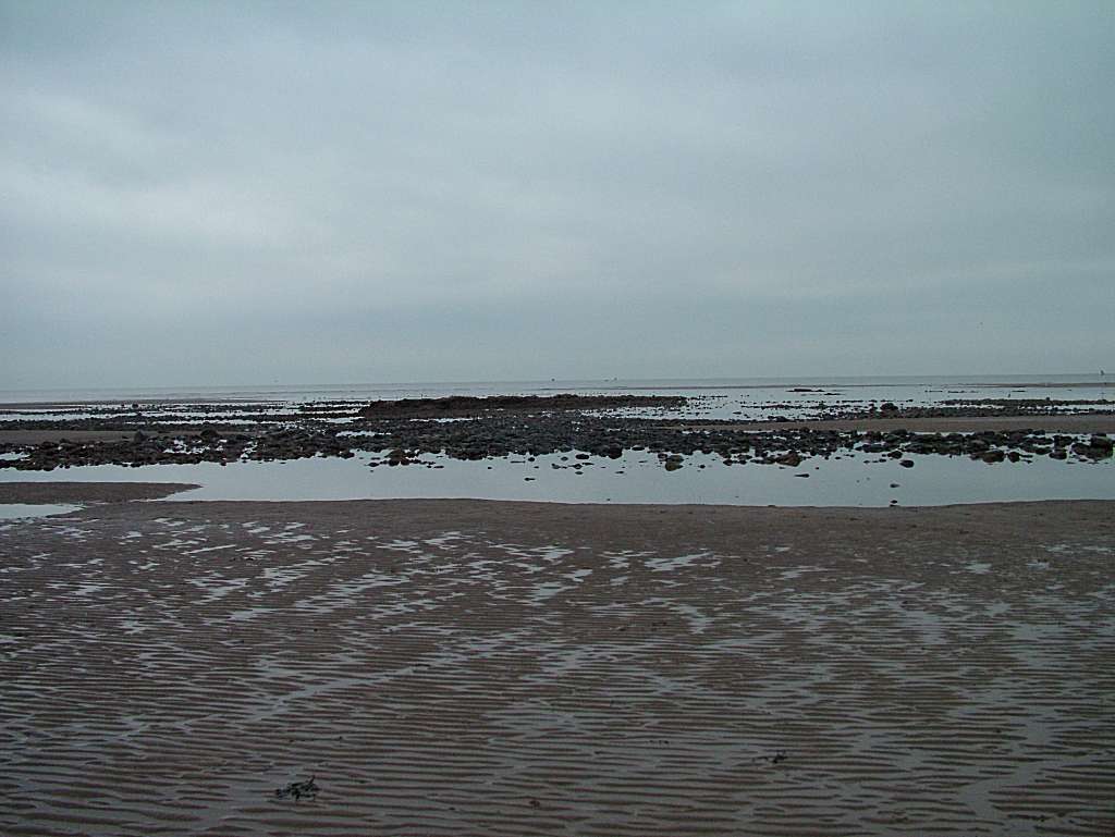 Click now to see this image full size.