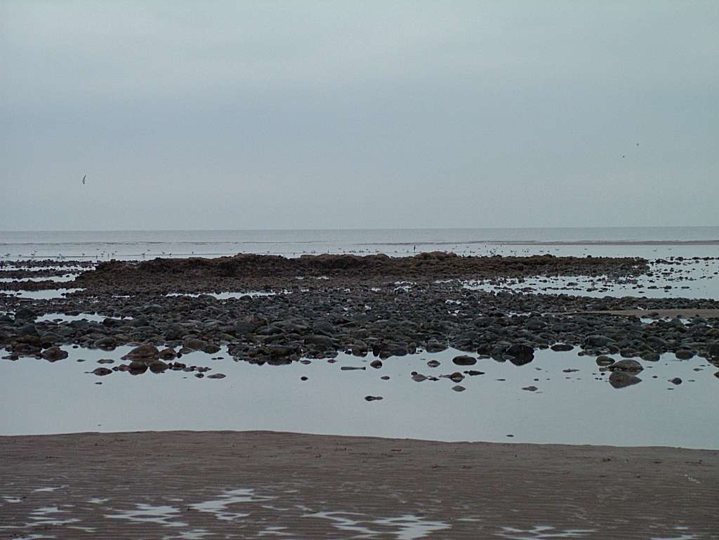 Click now to see this image full size.