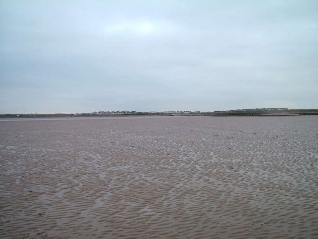 Click now to see this image full size.