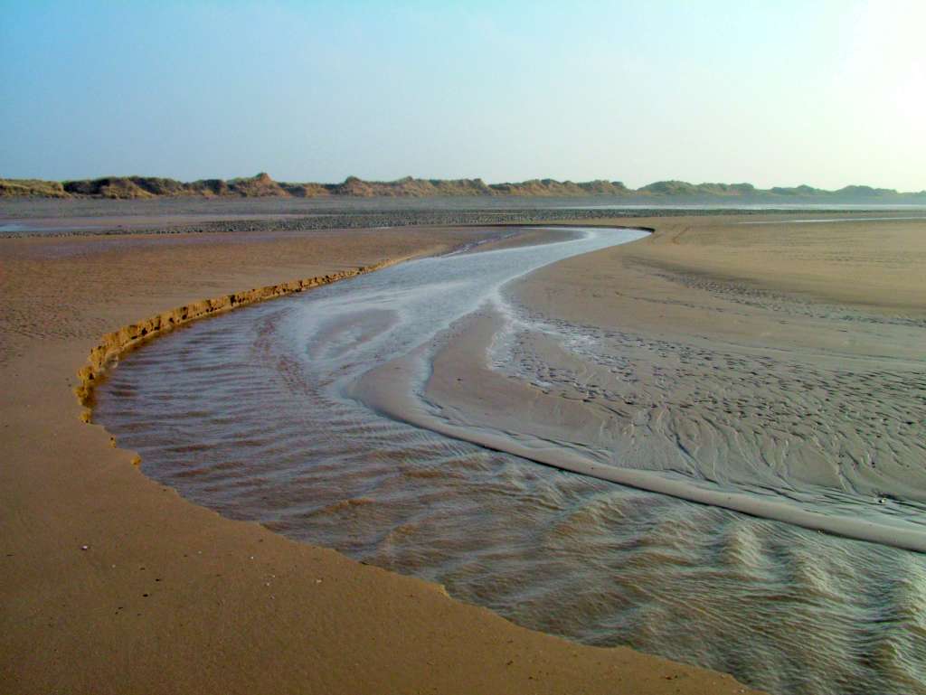 Click now to see this image full size.