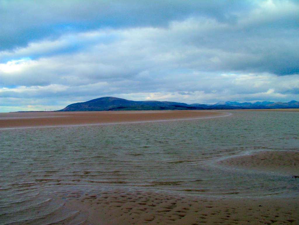 Click now to see this image full size.