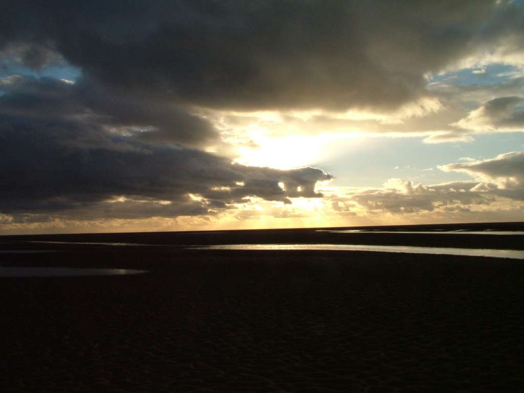 Click now to see this image full size.