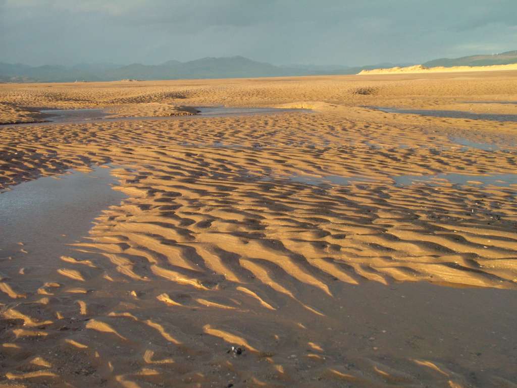 Click now to see this image full size.