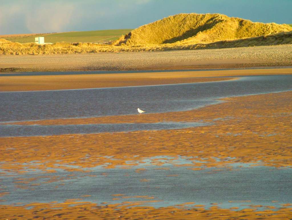 Click now to see this image full size.