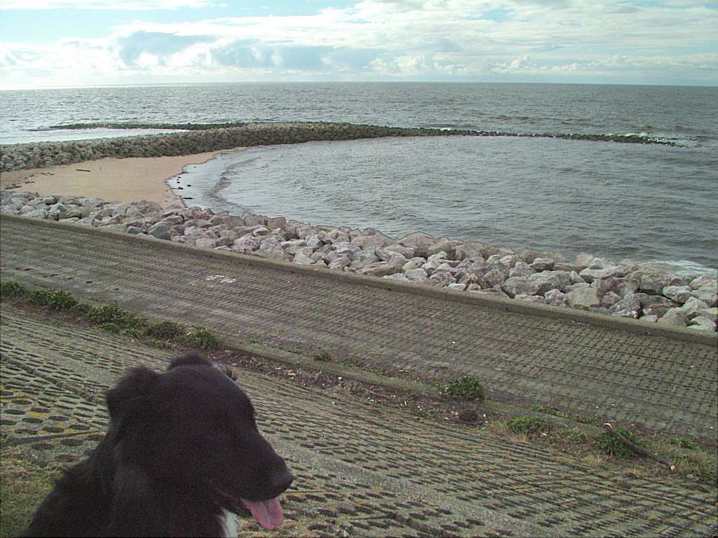 Click now to see this image full size.