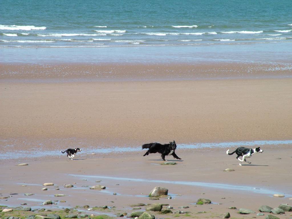 Click now to see this image full size.