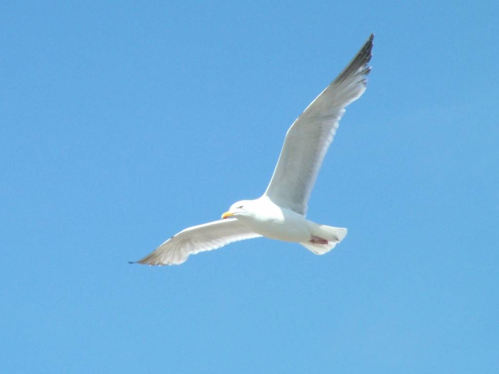 Click now to see this image full size.