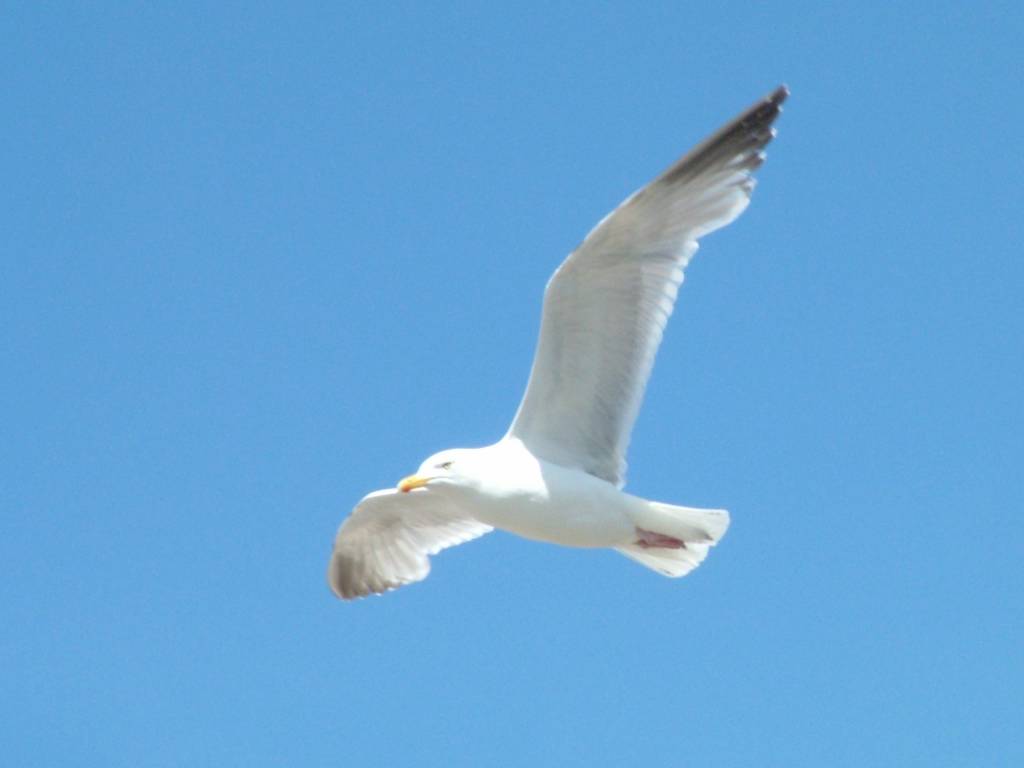 Click now to see this image full size.