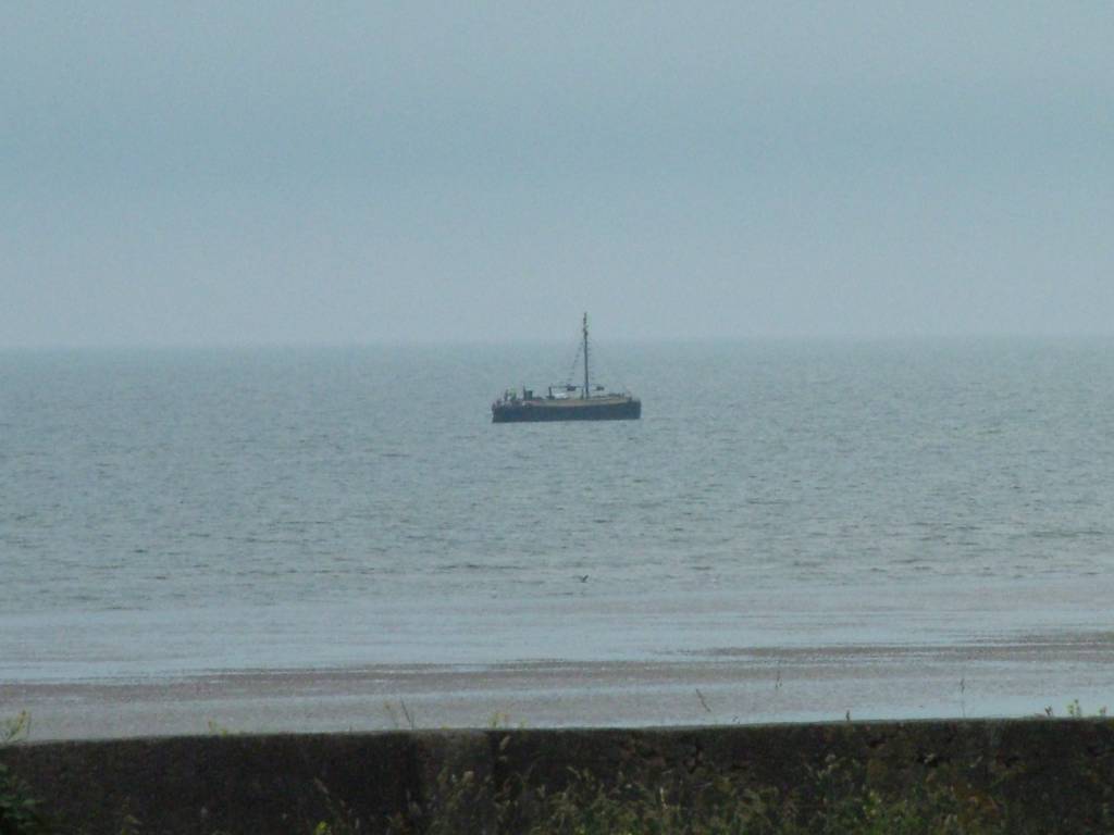 Click now to see this image full size.