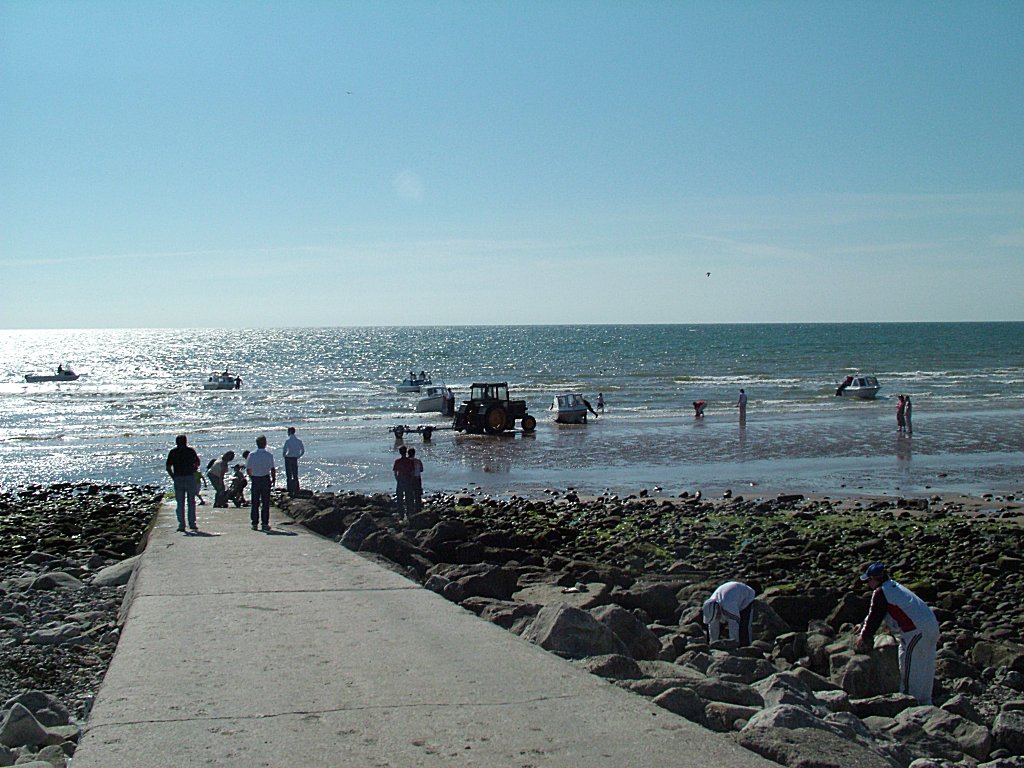 Click now to see this image full size.