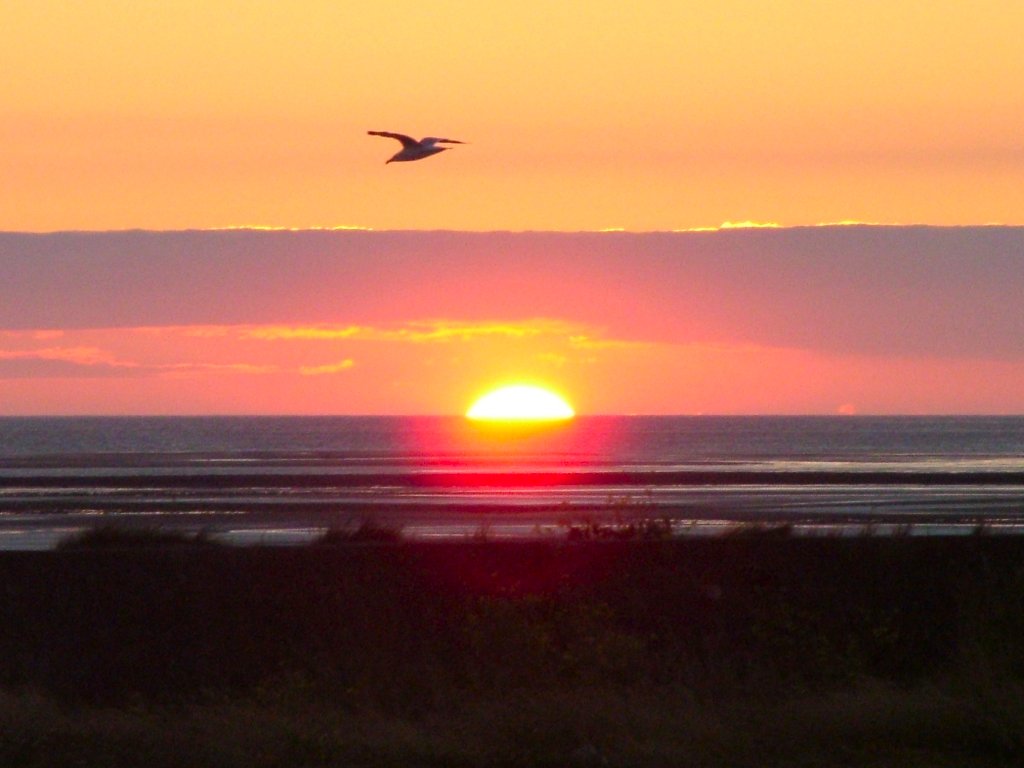 Click now to see this image full size.