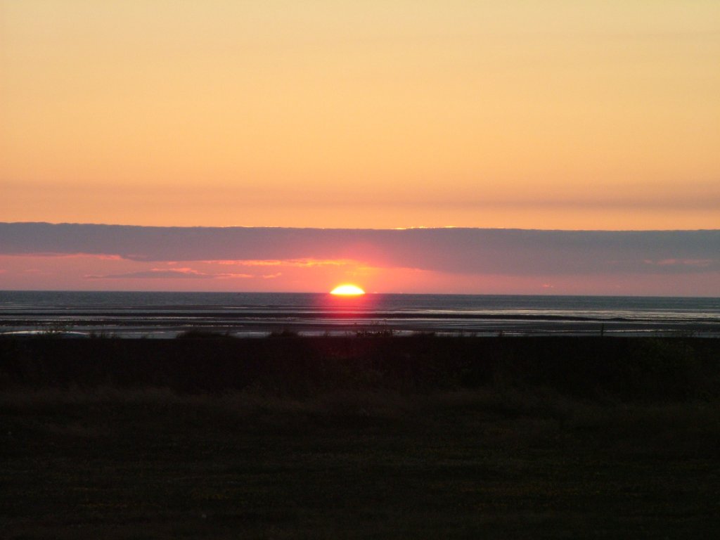 Click now to see this image full size.