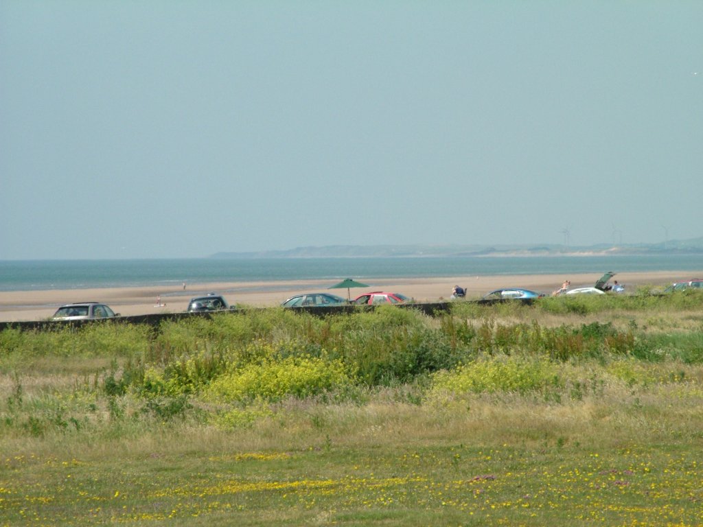 Click now to see this image full size.