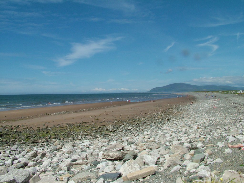 Click now to see this image full size.