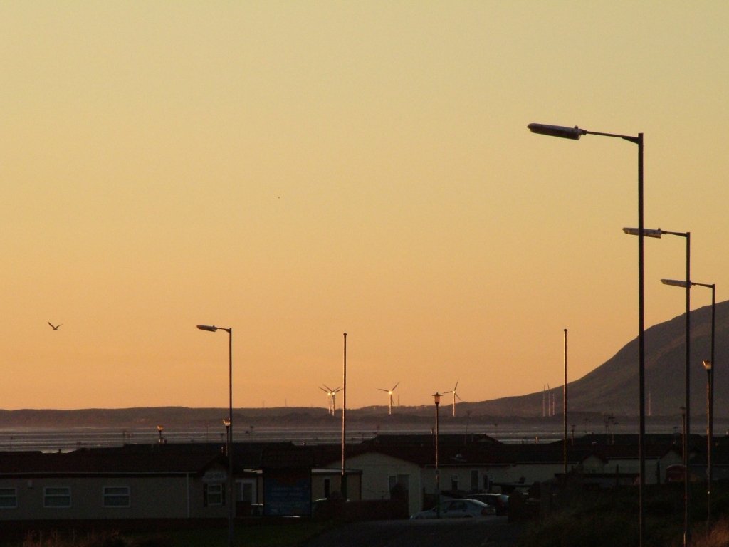 Click now to see this image full size.