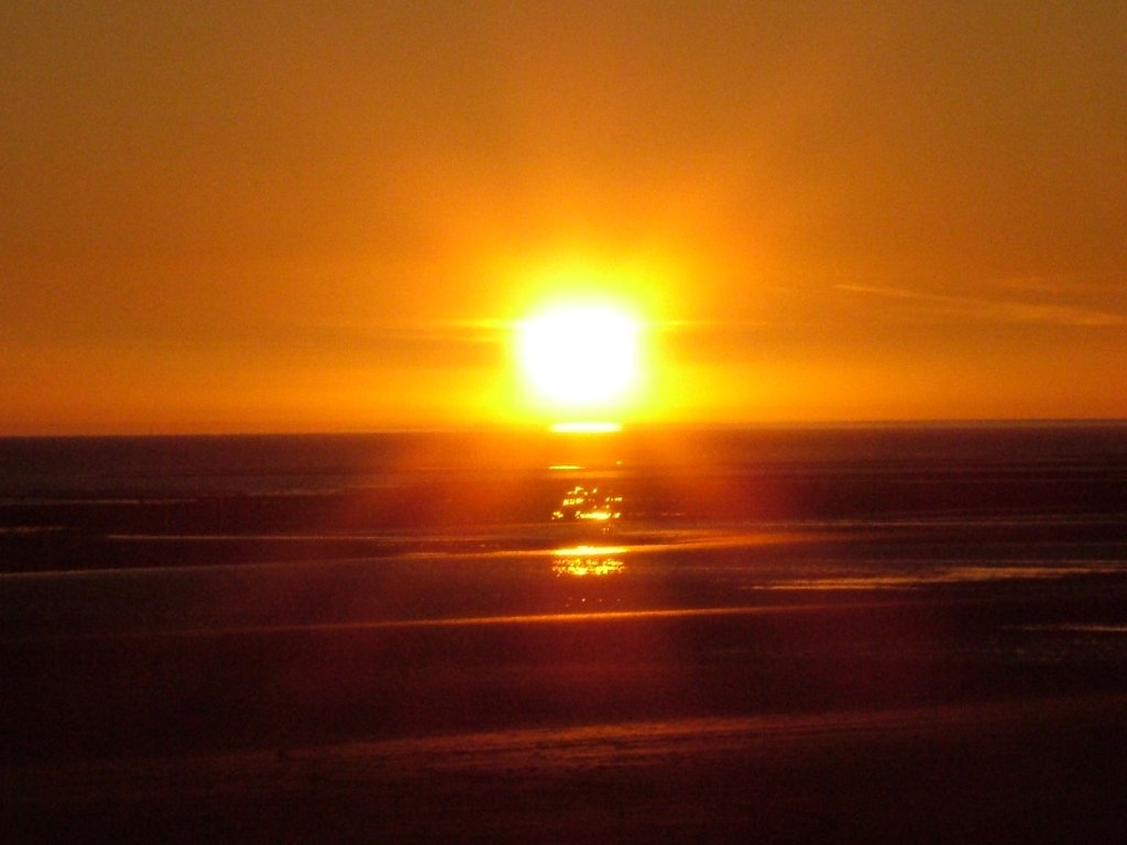 Click now to see this image full size.