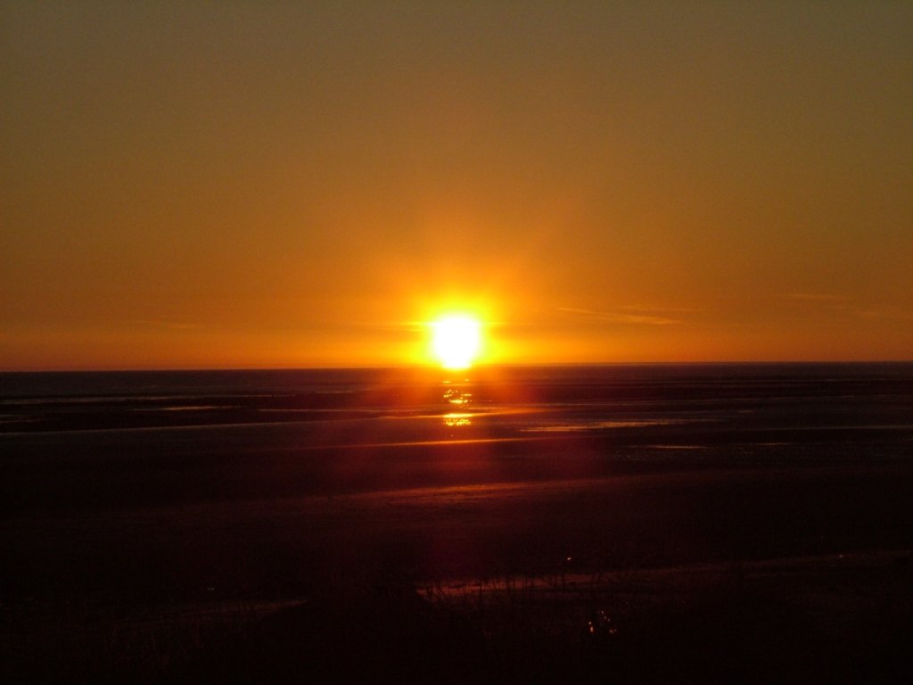 Click now to see this image full size.