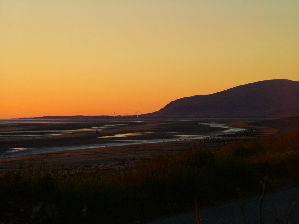 Click now to see this image full size.