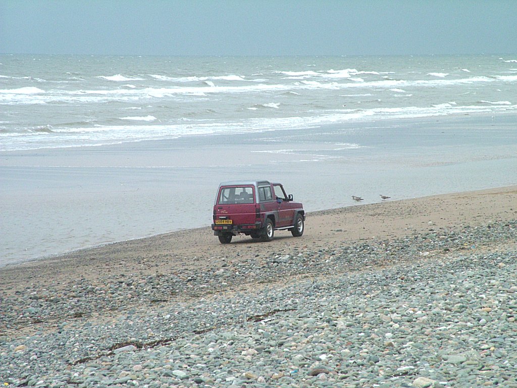 Click now to see this image full size.