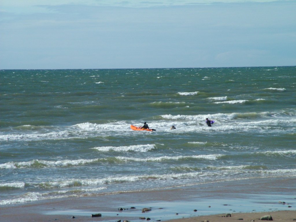 Click now to see this image full size.