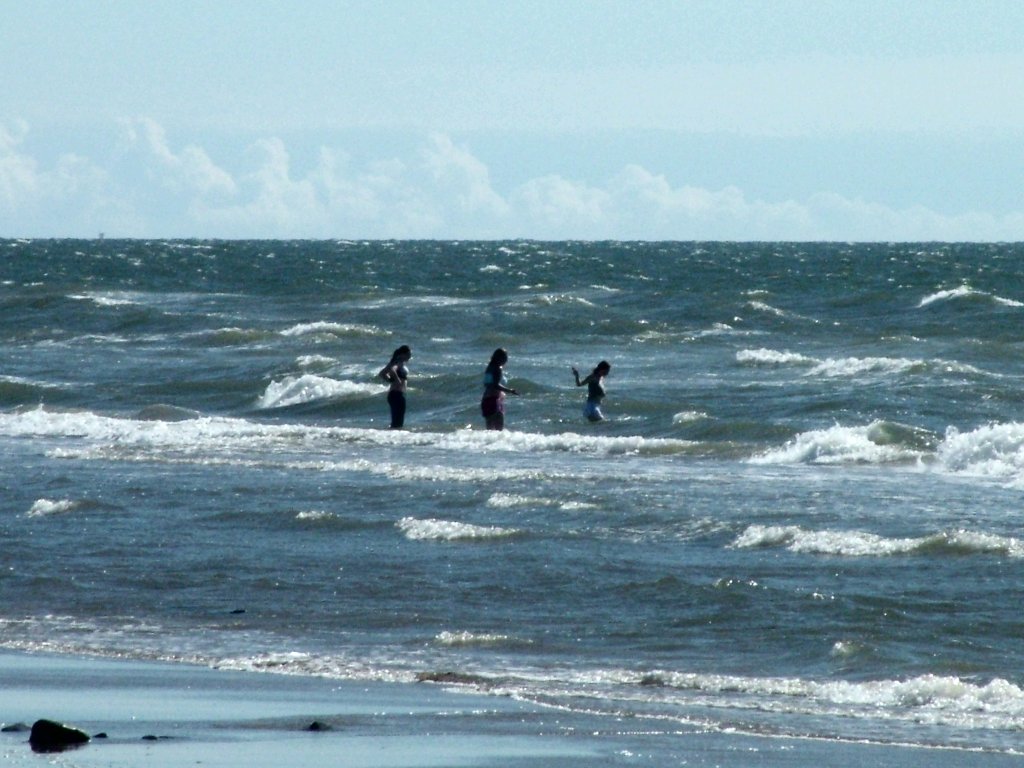 Click now to see this image full size.