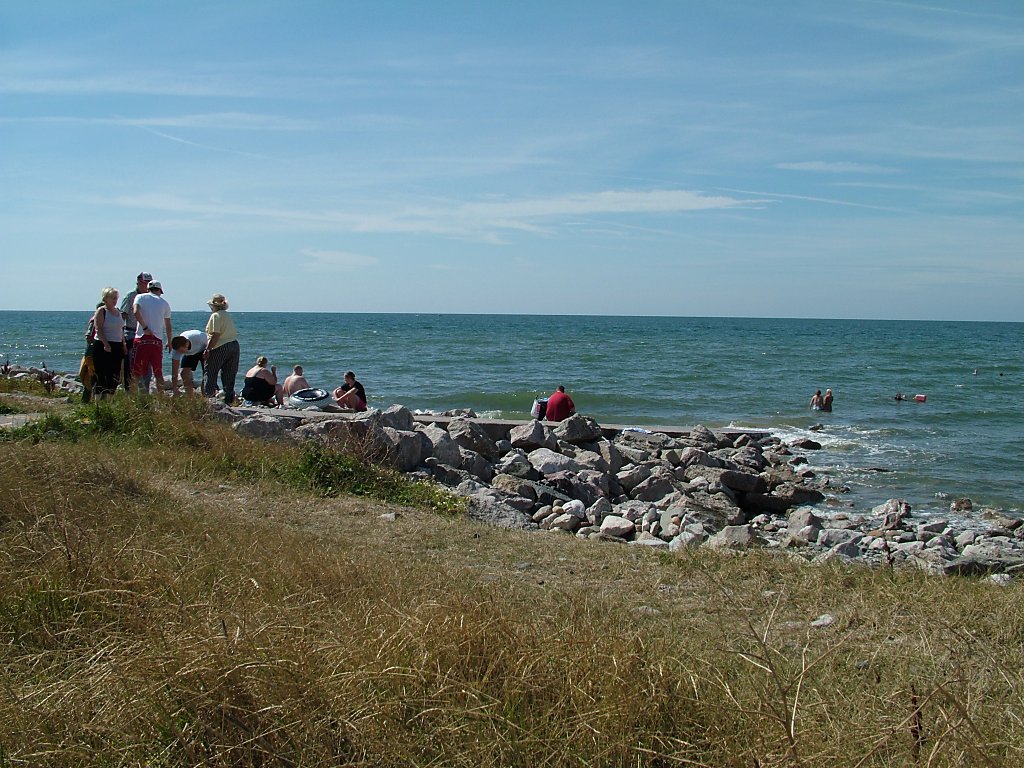 Click now to see this image full size.