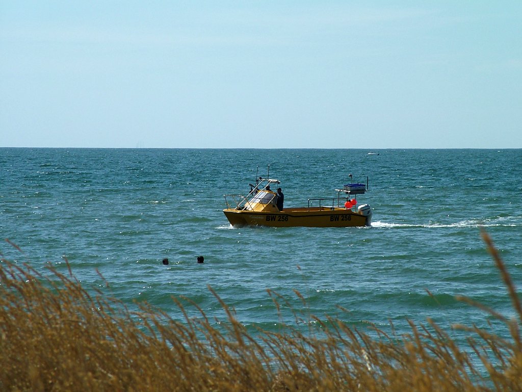 Click now to see this image full size.