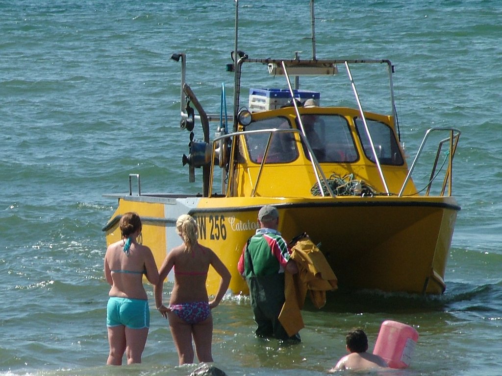 Click now to see this image full size.