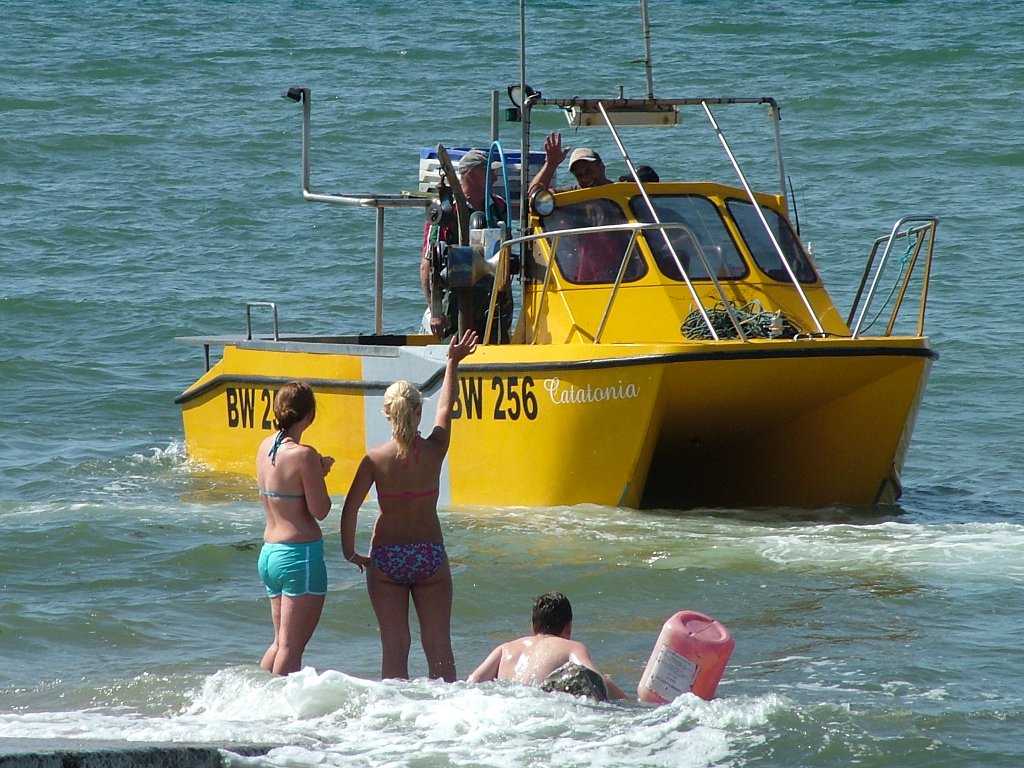 Click now to see this image full size.