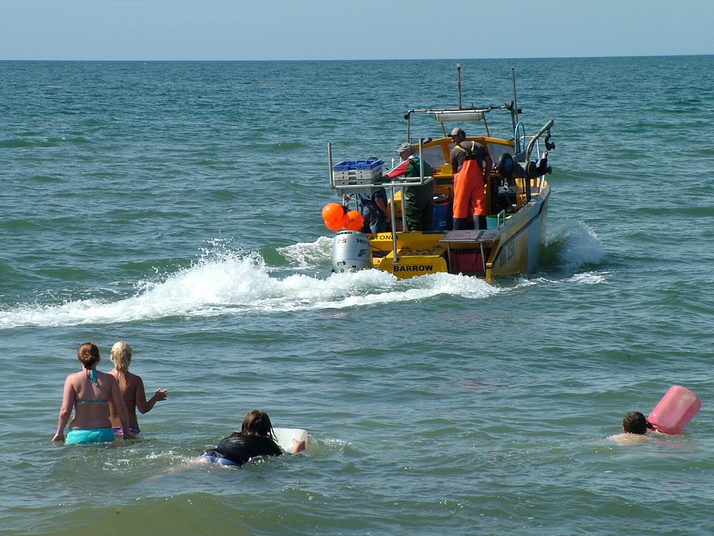 Click now to see this image full size.