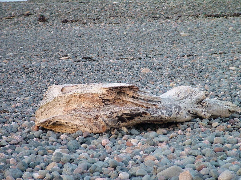 Click now to see this image full size.