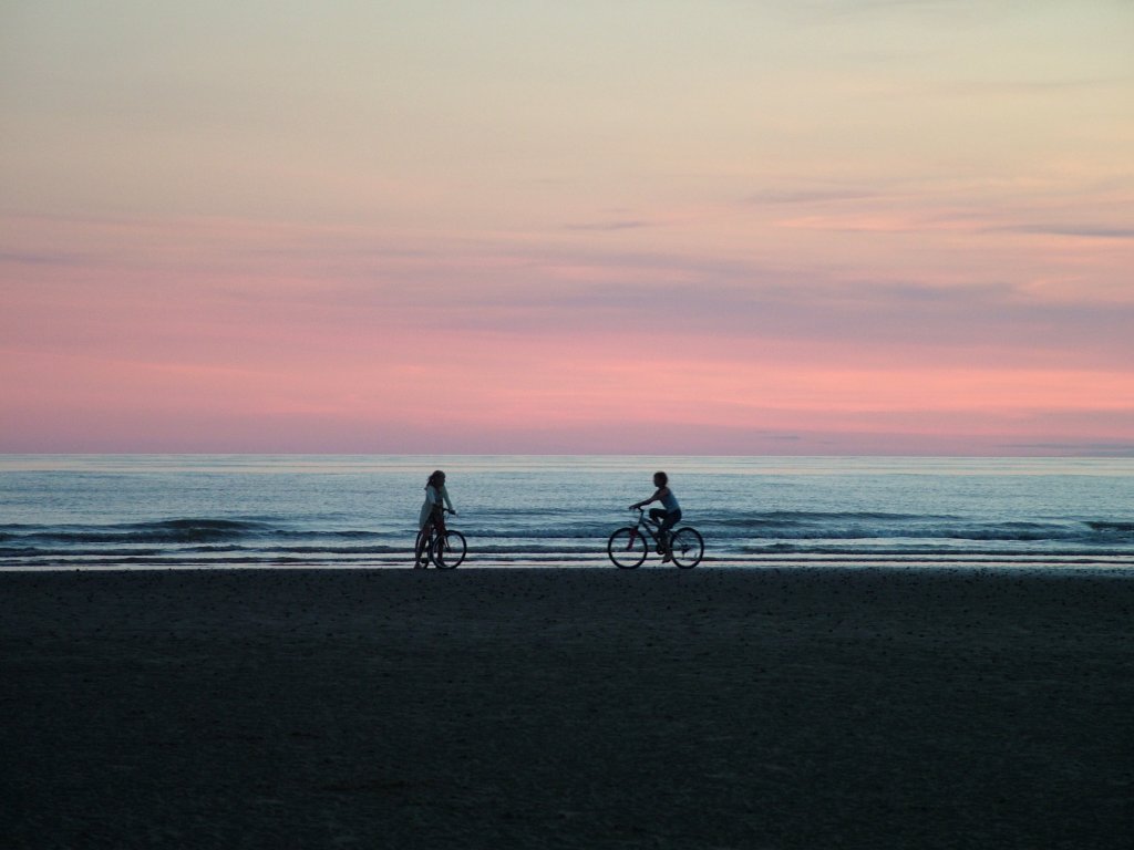 Click now to see this image full size.