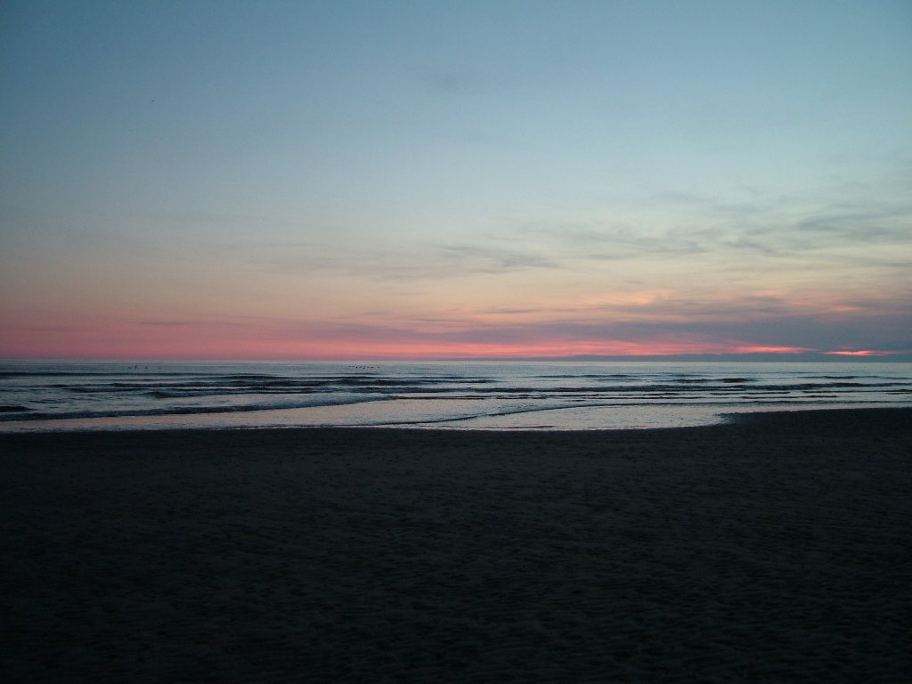 Click now to see this image full size.