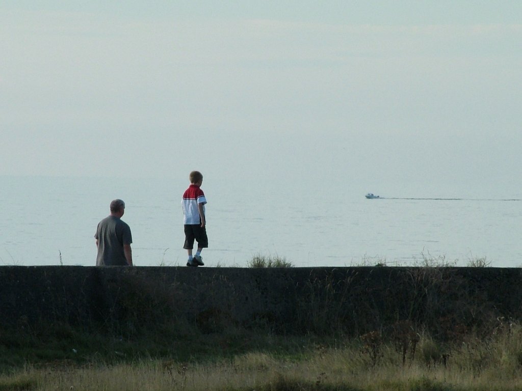 Click now to see this image full size.