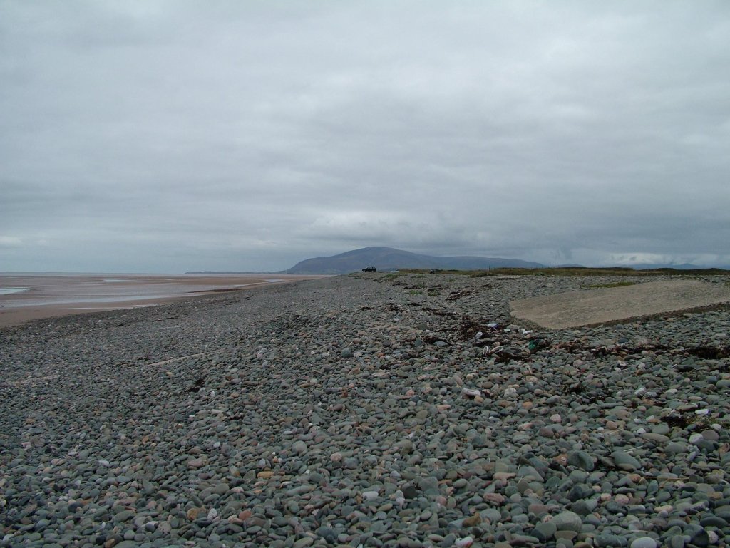 Click now to see this image full size.