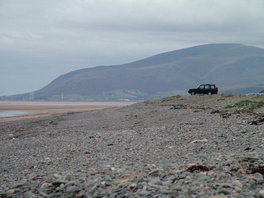 Click now to see this image full size.