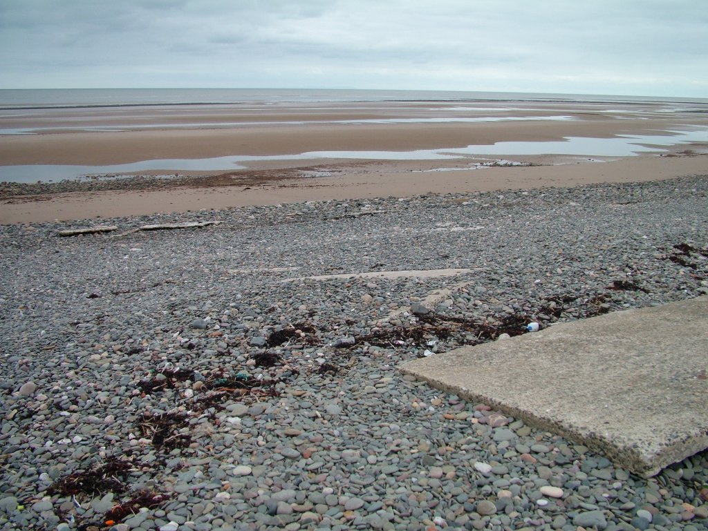 Click now to see this image full size.