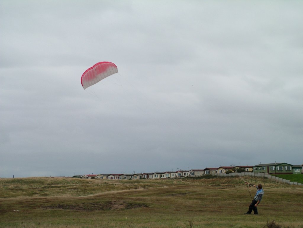 Click now to see this image full size.