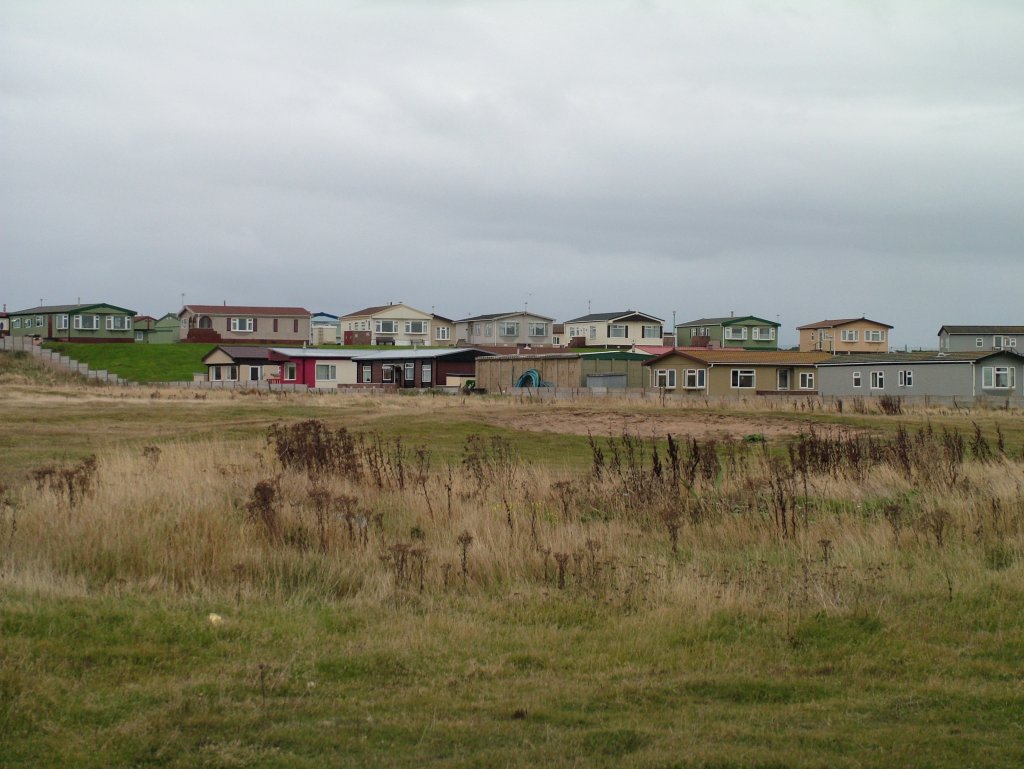 Click now to see this image full size.