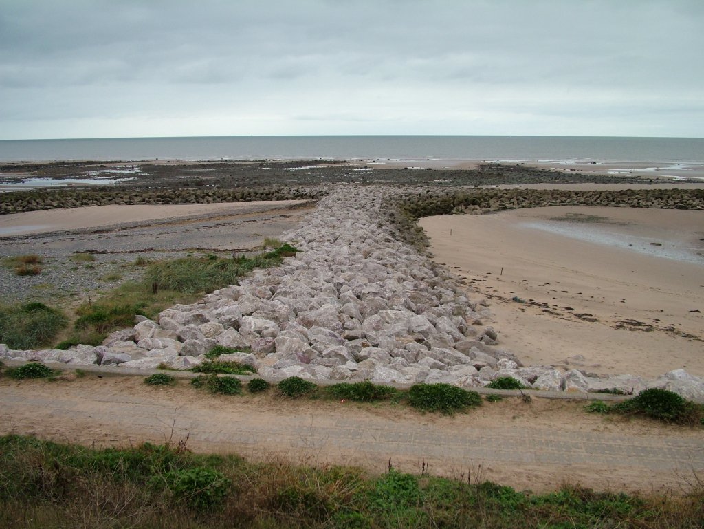 Click now to see this image full size.