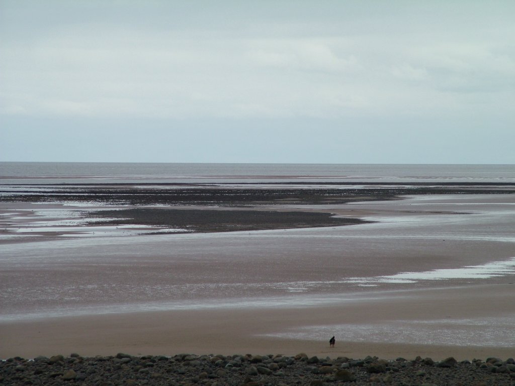 Click now to see this image full size.