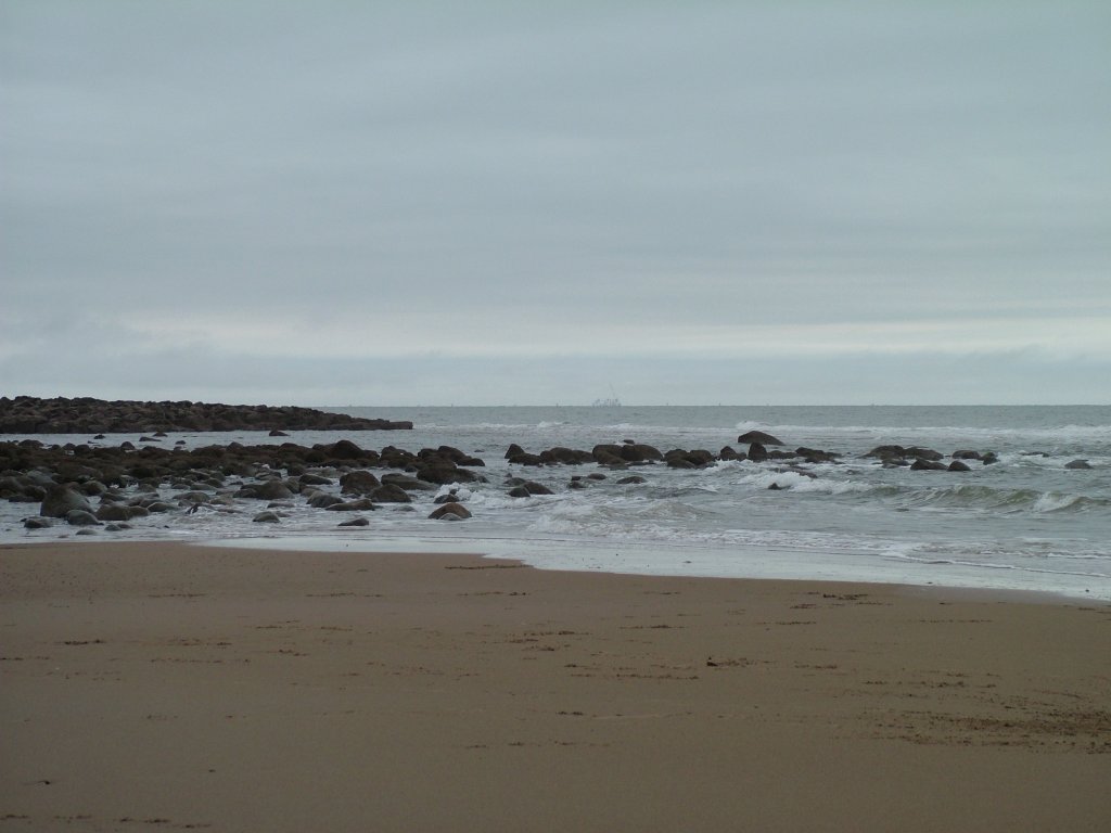 Click now to see this image full size.