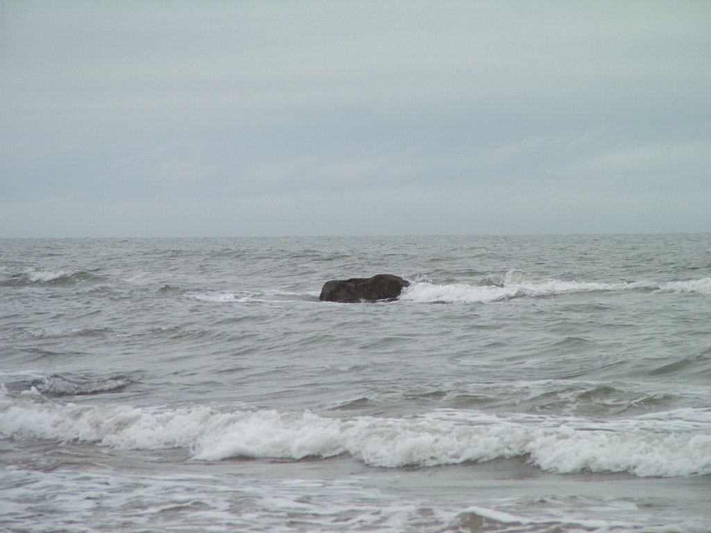 Click now to see this image full size.