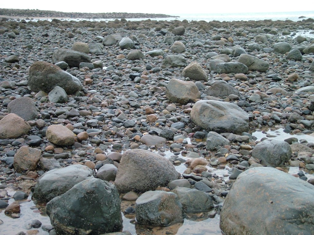 Click now to see this image full size.