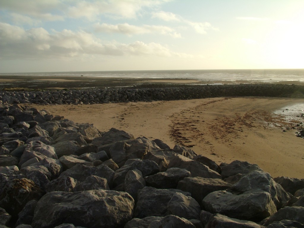 Click now to see this image full size.