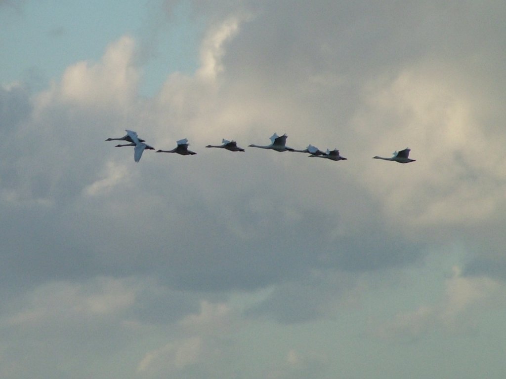 Click now to see this image full size.